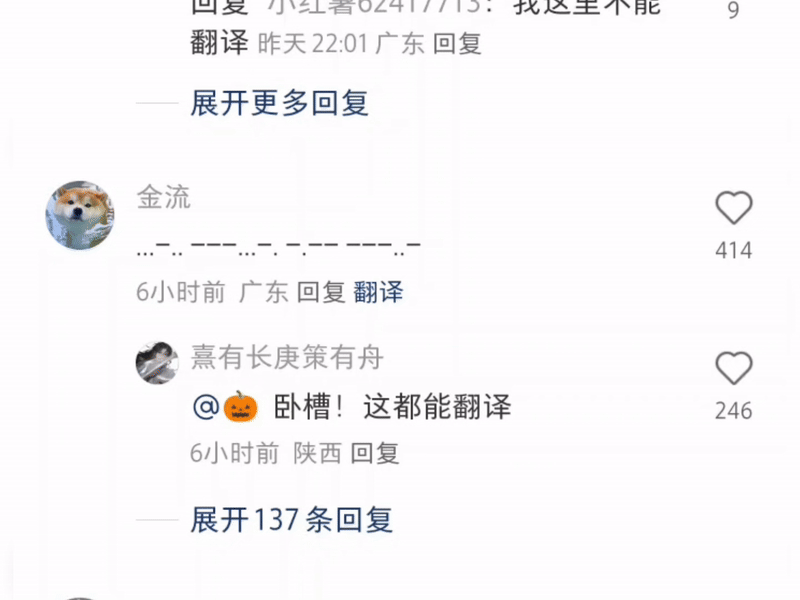 小红书推出了翻译功能，堪称梗百科