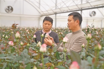 商品供应有保障 假日消费活力足（新春走基层）