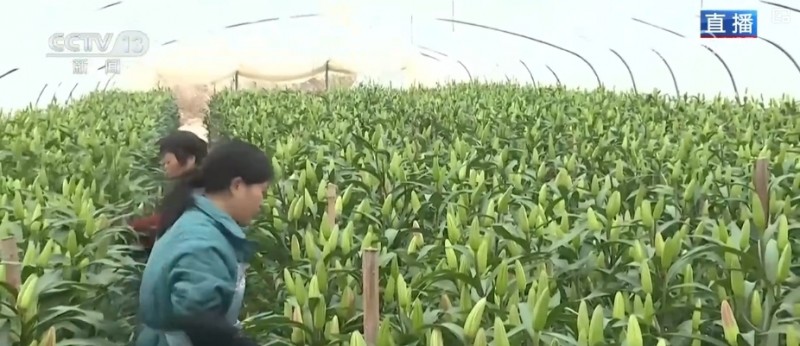 “美丽经济”添彩假日消费 处处洋溢浓浓年味