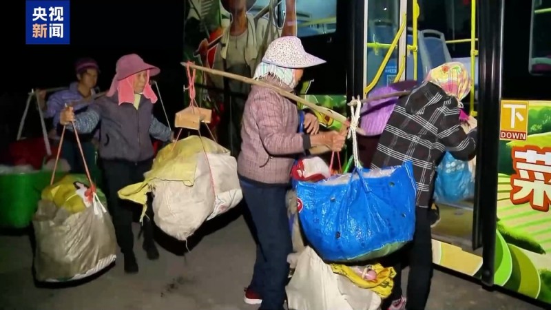 蔬菜的进城之旅 南宁“菜篮子”公交专线暖心升级