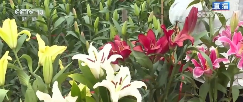 “美丽经济”添彩假日消费 处处洋溢浓浓年味
