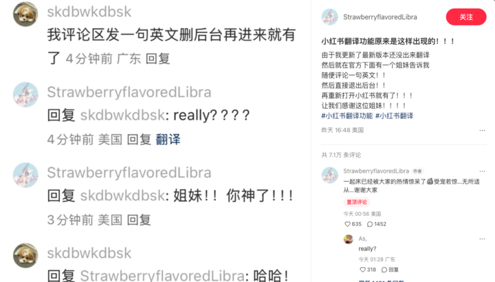 小红书推出了翻译功能，堪称梗百科