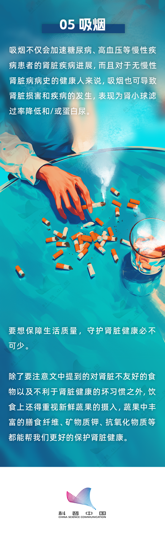 肾脏很怕的这6种食物 很多人几乎天天都吃却不知道→