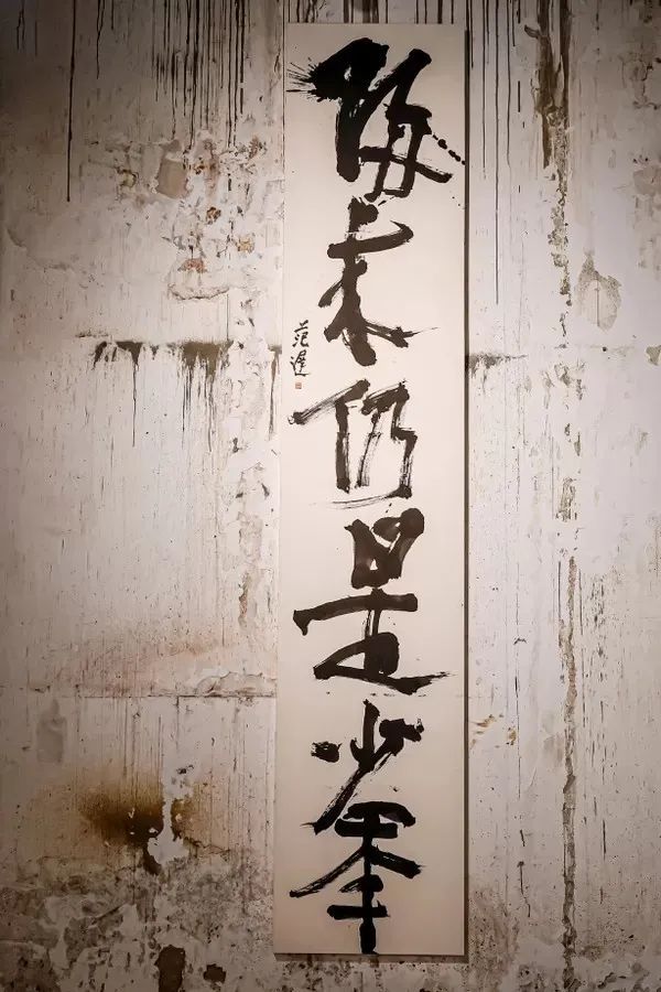 范存刚：以大写意为介  捕捉灵光涌现的“此刻”
