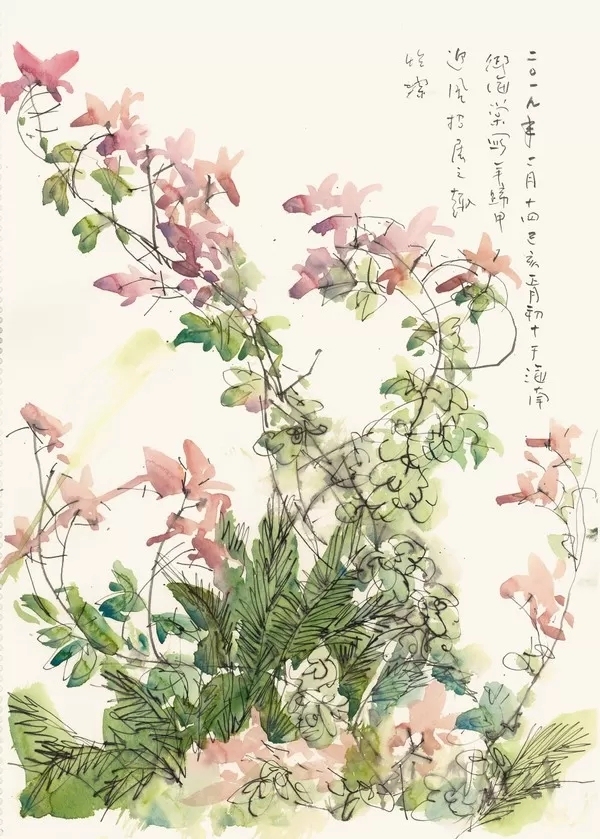 郭怡Q：写生不是抄袭自然，是有感而发