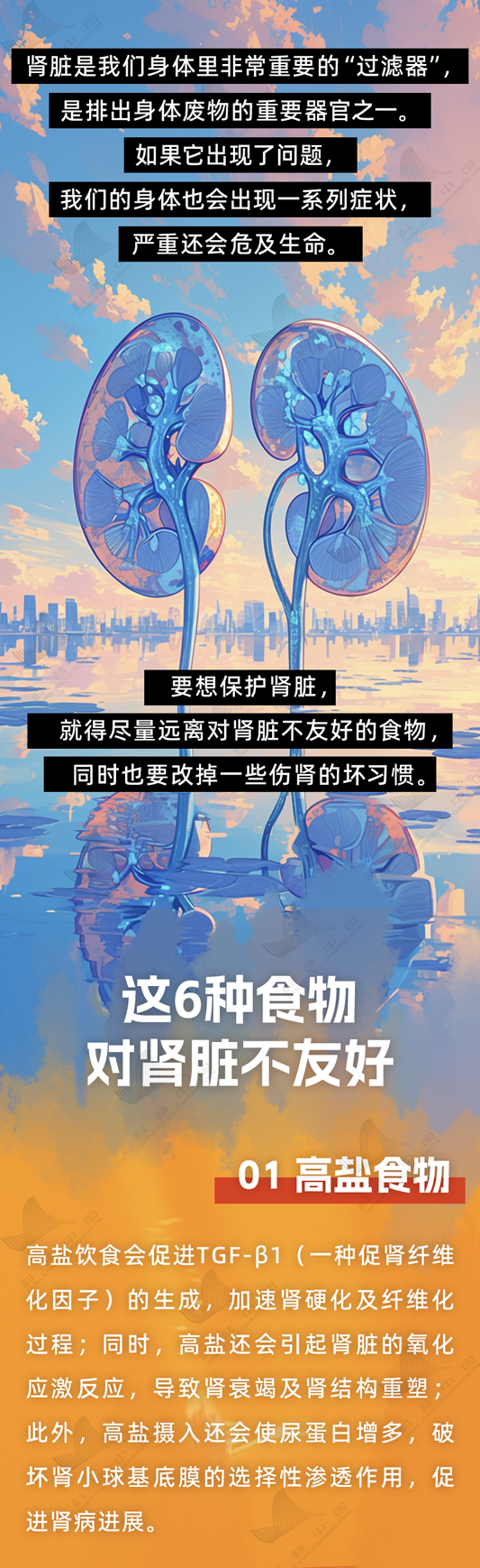 肾脏很怕的这6种食物 很多人几乎天天都吃却不知道→
