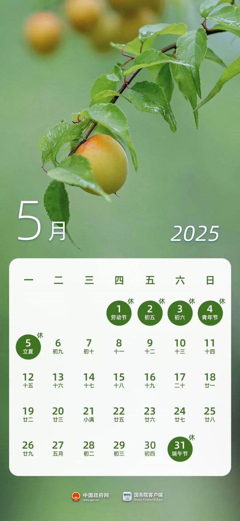 收藏！2025年放假日历