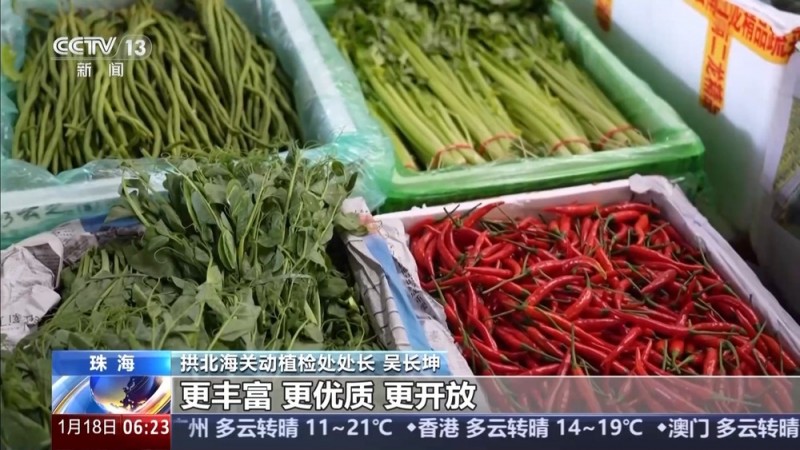一线调研丨一场“立”与“破”的改革 让大湾区“菜篮子”不断上新