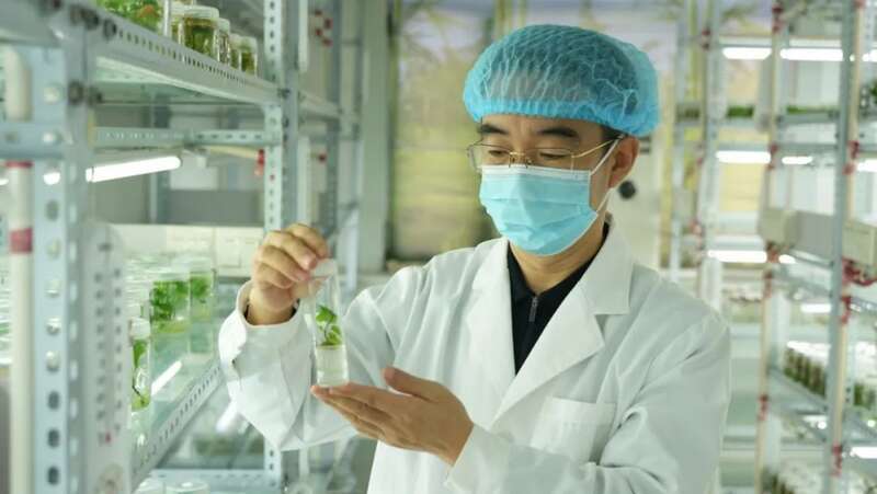 新春走基层｜种地还能这么酷！田间地头涌现新质生产力