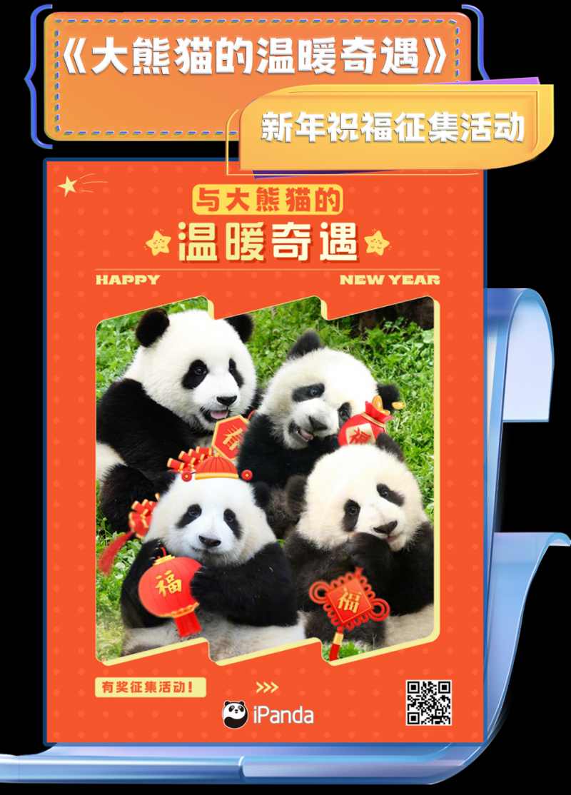 总台周看点丨心意足，“新”意足！