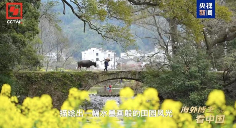 人生新体验！来看美国小伙的2024中国之旅