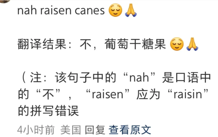 小红书推出了翻译功能，堪称梗百科