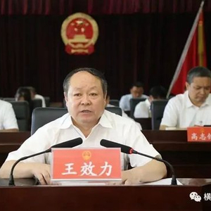 王效力被查，曾陷被亿万富翁殴打事件