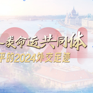 为了人类命运共同体｜习近平的2024外交足迹