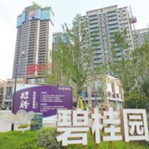 碧桂园披露境外债重组进展：与7家银行达成共识，拟减少债务最多116亿美元