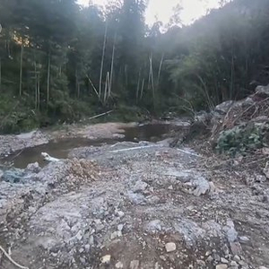 跨省非法倾倒“固废”竟成生意！总台曝光背后黑色利益链