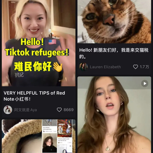 “对账”、交“猫税”、学普通话⋯⋯“TikTok难民”转战小红书疯狂72小时