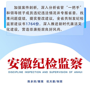 【 一图读懂】2024年度安徽正风肃纪反腐工作情况