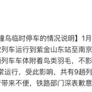 上海虹桥至汉口站一列车因撞鸟临时停车9趟列车晚点，铁路部门致歉