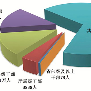 中央纪委国家监委通报2024年全国纪检监察机关监督检查、审查调查情况