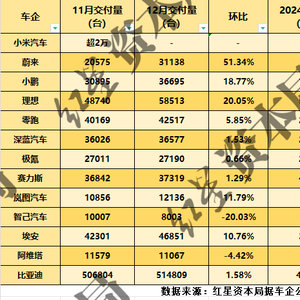 2024年新能源车企“成绩单”出炉！比亚迪、理想等4家完成全年销量目标