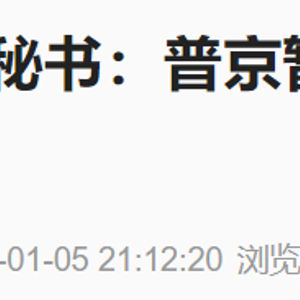 “普京暂无计划与特朗普和朔尔茨会晤”