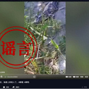 “洞庭湖可钓区发现鳄鱼”？造谣者已被公安机关批评教育