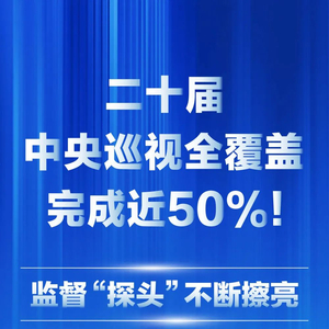 二十届中央巡视全覆盖完成近50%