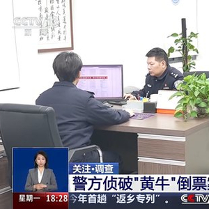 一面“手机墙”帮一人抢票、犯罪团伙分工明确 揭开网络“黄牛”开挂秘笈