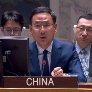 安理会就加沙儿童情况举行公开会 中方代表：停火一旦实现绝不能再起战端