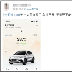 比亚迪客服回应App崩了：系统出了问题