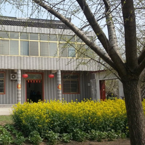 乡村全面振兴规划发布：允许农户合法拥有的住房通过出租、入股、合作等方式盘活利用