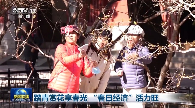 踏青赏花享春光 “春日经济”活力旺