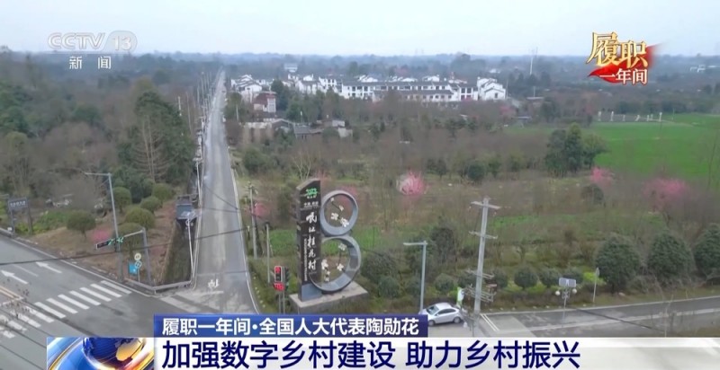 履职一年间丨“让更多人看到村里有啥” 关于数字乡村建设 她说了句大白话