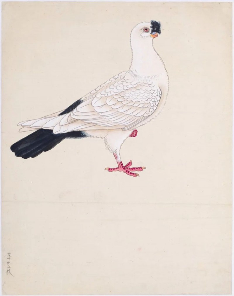 与古为徒  ――“传移模写”中央美术学院中国画临摹教学作品展专题采访