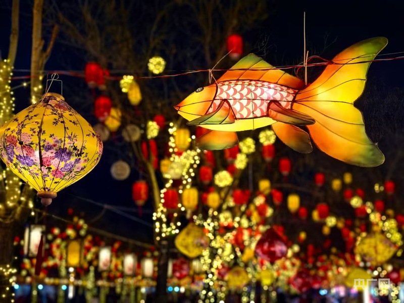 新春文旅开门红  |  “非遗”春节引爆传统文化游  年轻人小城里寻年味儿