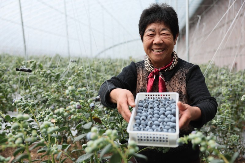 最新！四个视角读懂2025年中央一号文件
