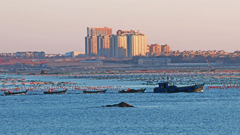 千帆竞发“耕海”忙