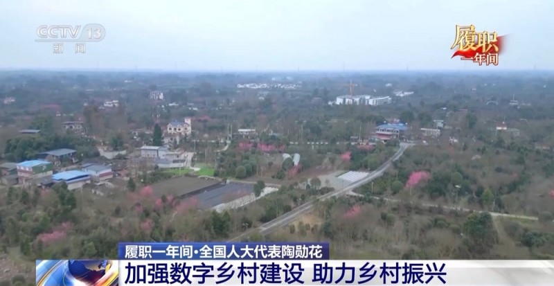 履职一年间丨“让更多人看到村里有啥” 关于数字乡村建设 她说了句大白话