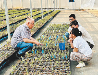 看，田间地头的“科技范儿”（国际人士看中国乡村全面振兴）