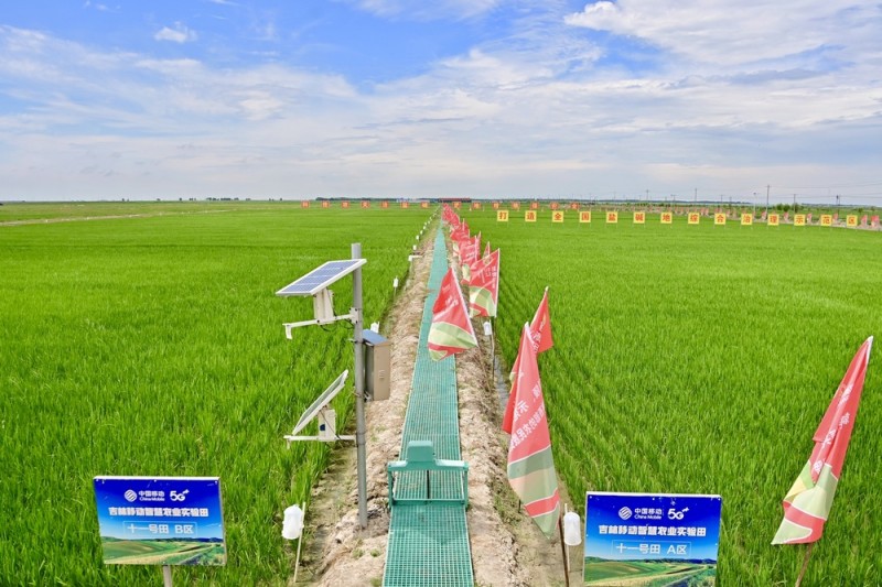 让“中国饭碗”装进更多“吉林粮”