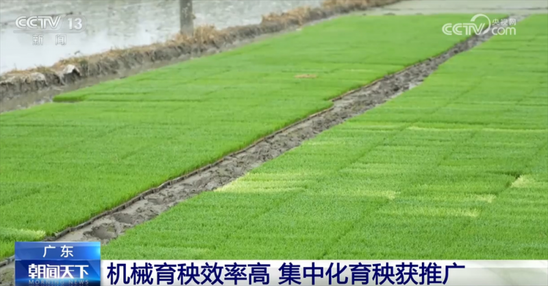 科技“春风”吹向春耕备耕田间地头 多点发力端稳端牢“中国饭碗”