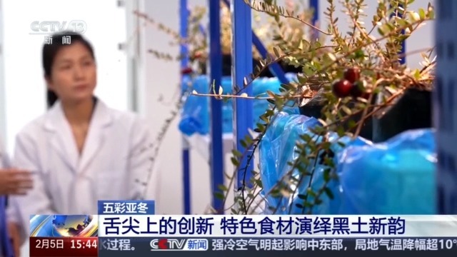 黑土地、黑科技、黑色资源 一起了解亚冬会里的黑色密码