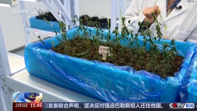黑土地、黑科技、黑色资源 一起了解亚冬会里的黑色密码