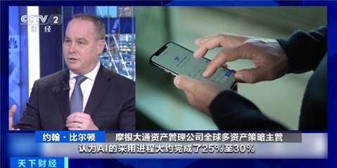 AI领域重心或出现转移，2025年市场聚焦垂类AI应用
