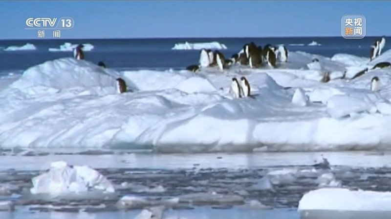 焦点访谈丨了不起！40年风雪兼程  南极科考“破冰者”打造中国奇迹