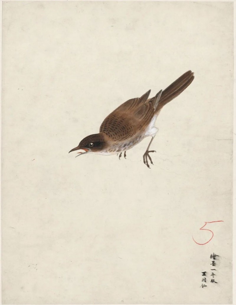 与古为徒  ――“传移模写”中央美术学院中国画临摹教学作品展专题采访