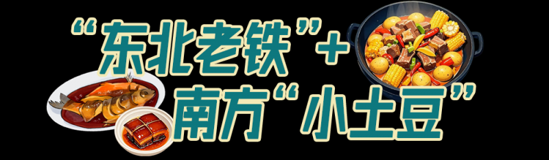 总台周末看点丨周末踏春计划，您有了吗？