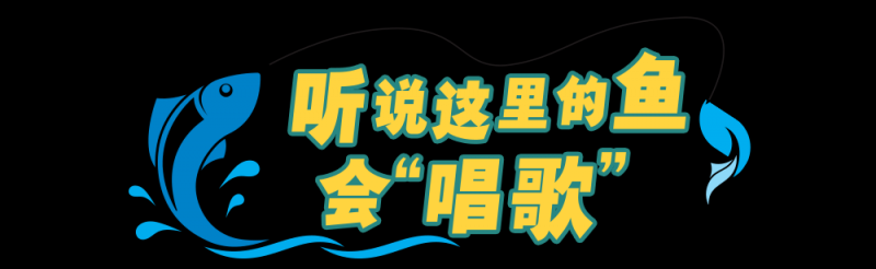 总台周末看点丨周末踏春计划，您有了吗？