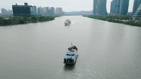 总台周末看点丨周末踏春计划，您有了吗？